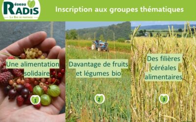 Les groupes thématiques démarrent en janvier et février !