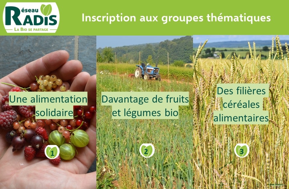 Les groupes thématiques démarrent en janvier et février !