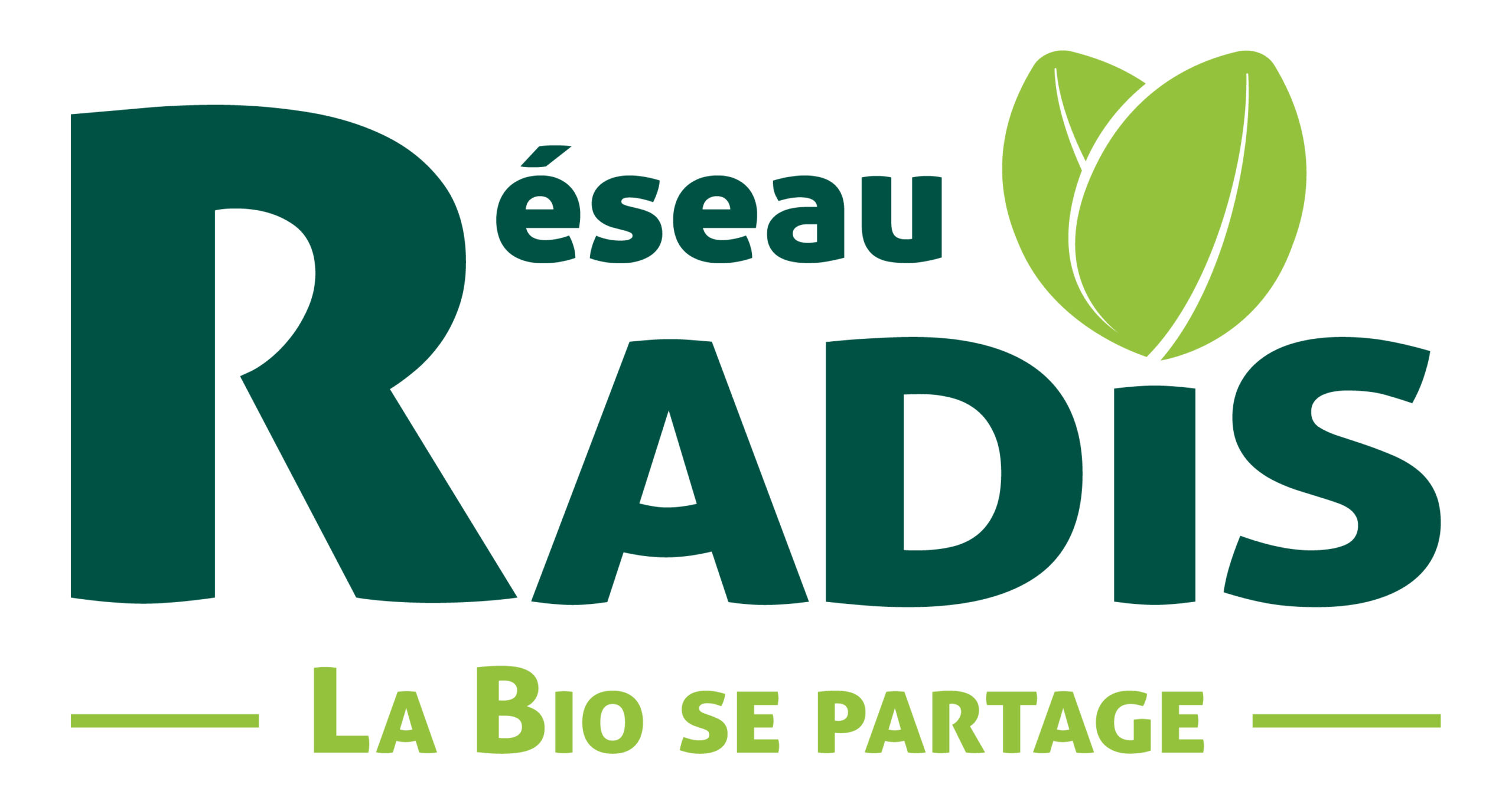 Réseau RADiS JPG