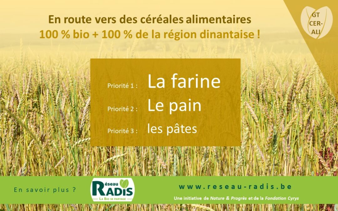 En route pour de la farine et du pain 100 % bio, 100 % de la région dinantaise !