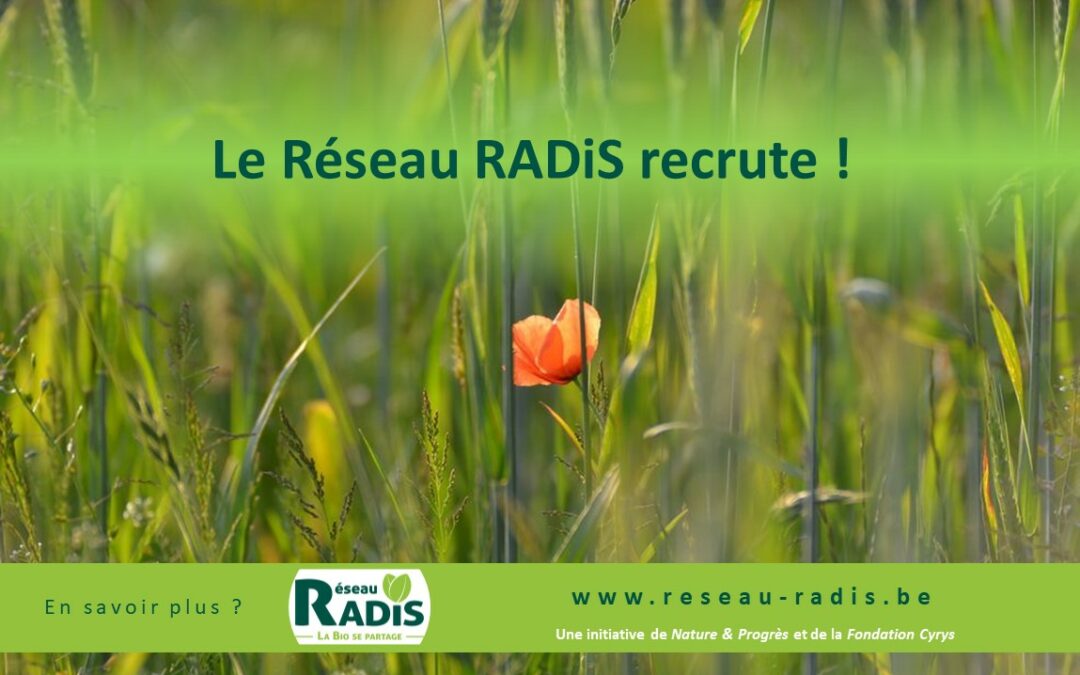 Le Réseau RADiS recrute un.e chargé de projet en agriculture biologique & solidaire