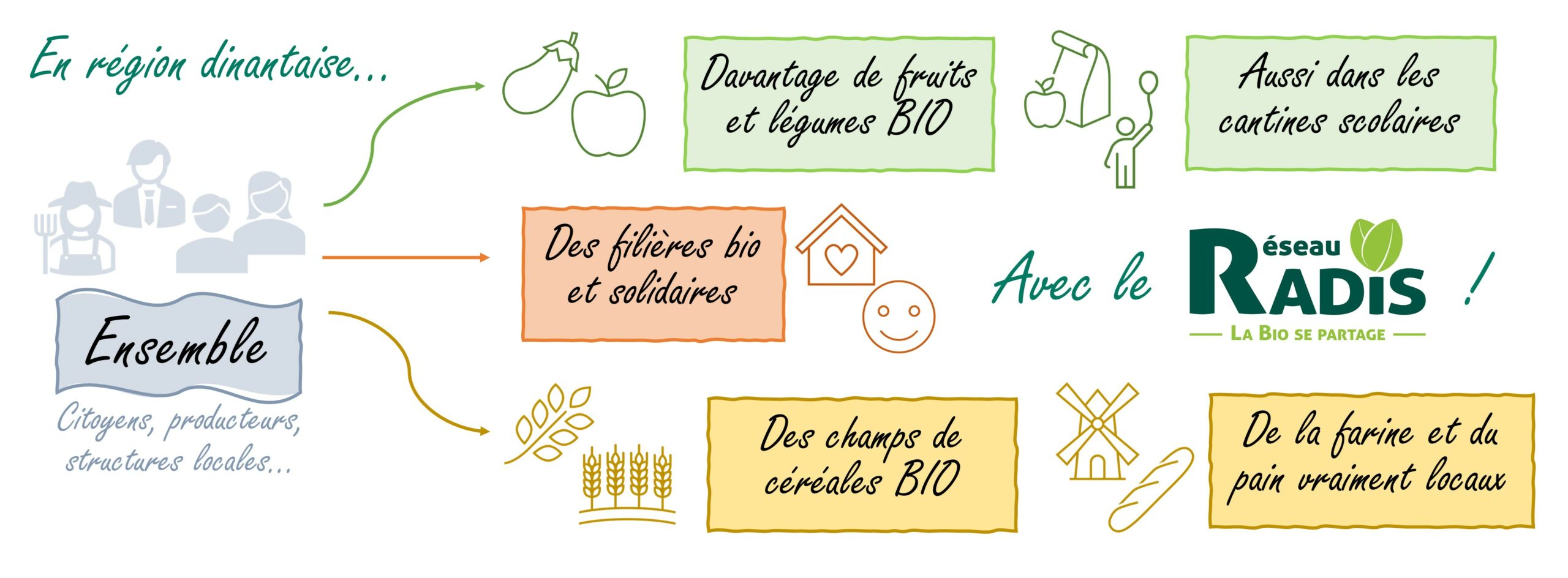 Banner fb Réseau RADiS