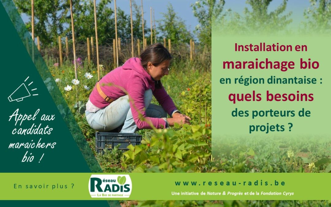 Installation en maraichage bio en région dinantaise : quels besoins des porteurs de projets ?