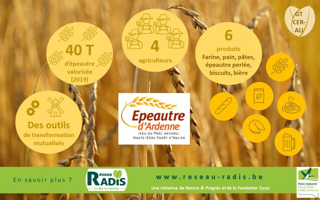 Mettre en place une filière farine et pain sur notre territoire : rencontre d’Epeautre d’Ardenne, une initiative inspirante !
