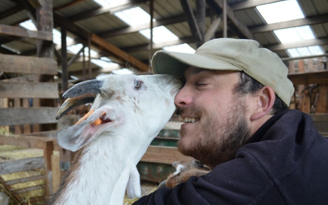 Accueil social à la ferme : retour sur notre rencontre du 9/02