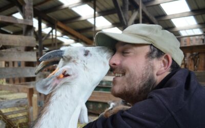 Intérêt pour l’accueil social à la ferme sur le territoire du Réseau RADiS