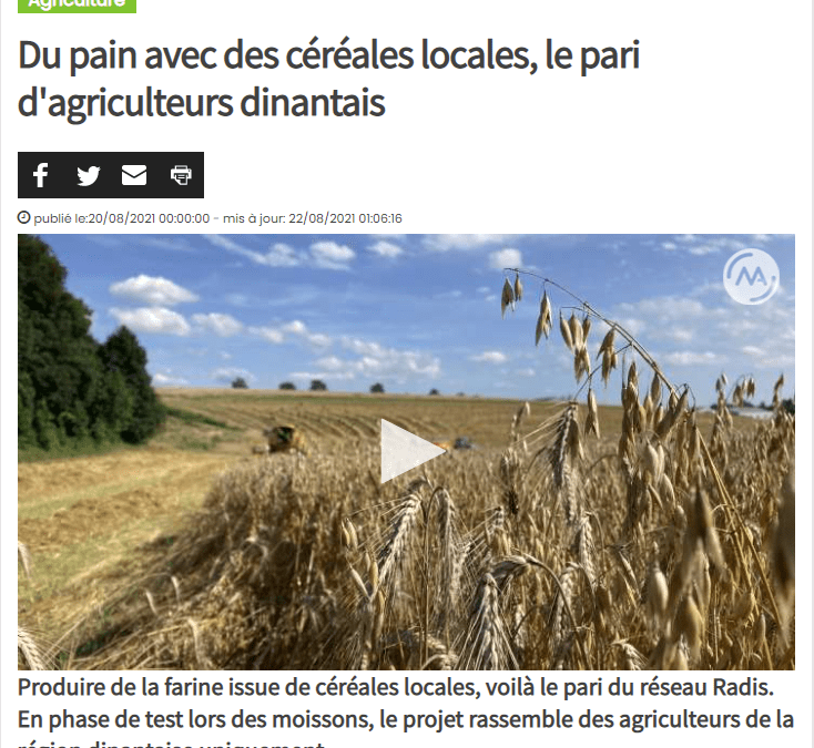 Du pain avec des céréales locales, le pari d’agriculteurs dinantais [Médias]