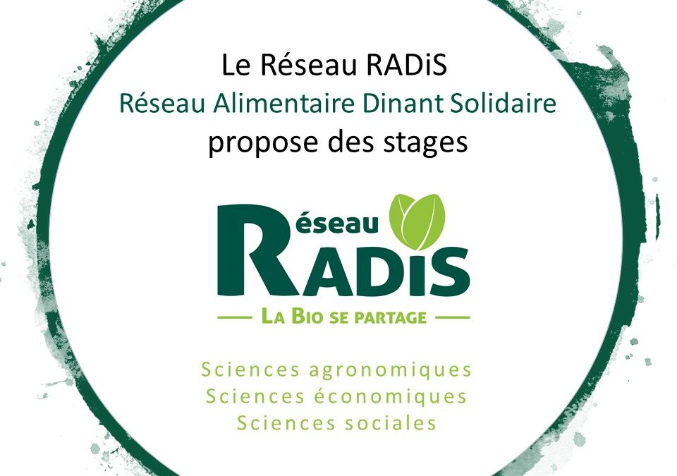 Le Réseau RADiS propose des sujets de stages étudiants