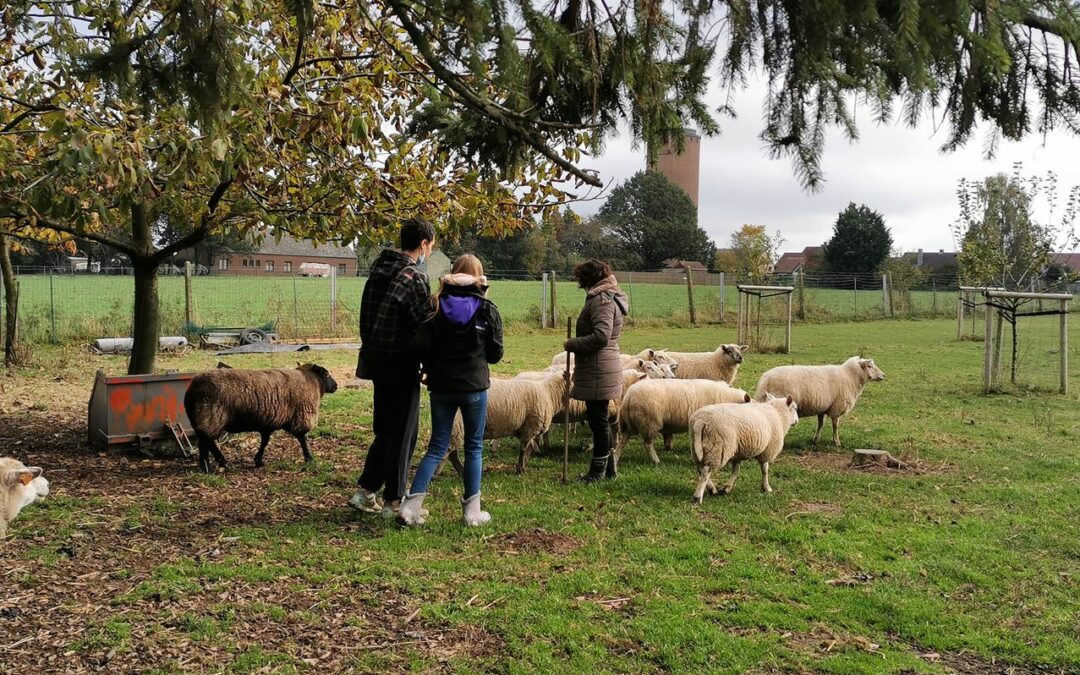 Accueil social à la ferme : l’initiative « Bien dans tes bottes »