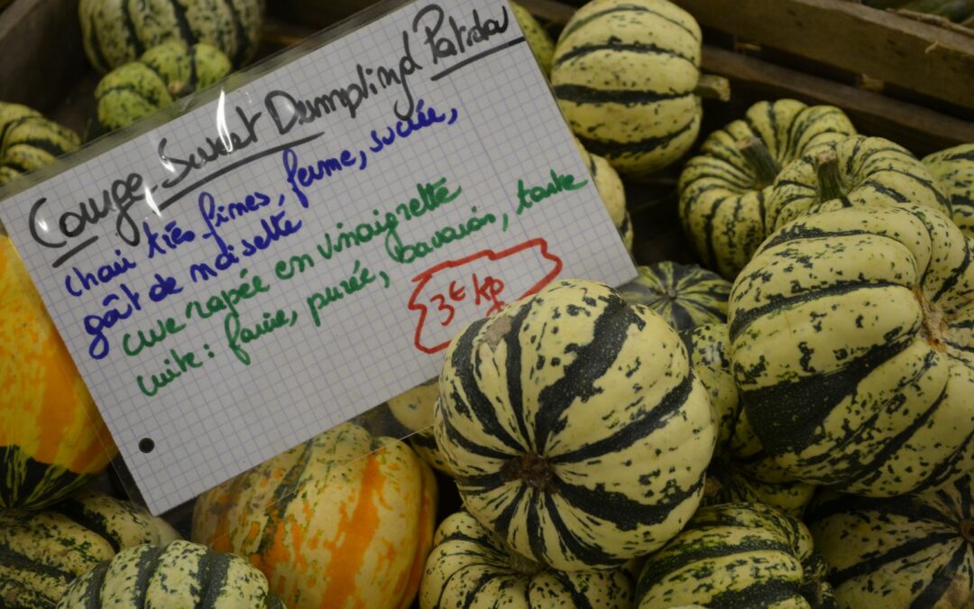 Transformer et vendre ses légumes bio : aspects sanitaires