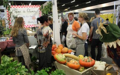 Débouchés en maraichage bio : vendre ses légumes bio