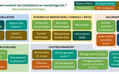 Soutenir les (futurs) maraichers bio en région dinantaise : des actions !