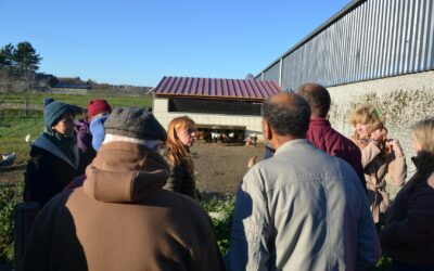 On organise un événement bio local. Avec vous ?