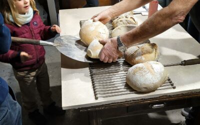 Priorisation des actions pour le développement de la filière « céréales alimentaires »