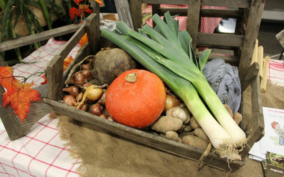 15/6 : Soutenir nos maraichers bio par la valorisation de leurs légumes