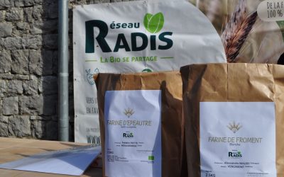 Farines : 1ères réalisations, 1ers retours !