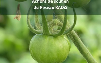 Publication : Maraicher bio en région dinantaise, actions de soutien du Réseau RADiS