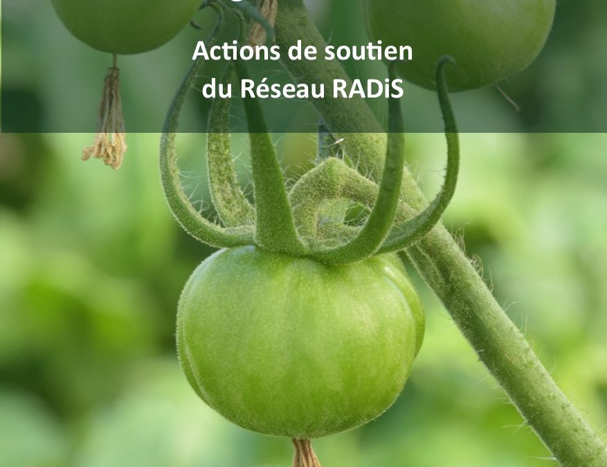 Publication : Maraicher bio en région dinantaise, actions de soutien du Réseau RADiS
