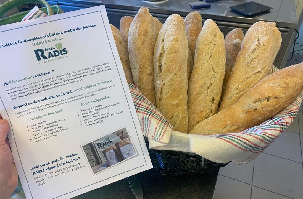 Baguettes « made in RADiS » : retour sur notre atelier !