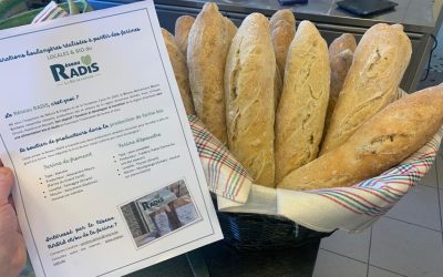 Baguettes « made in RADiS » : retour sur notre atelier !