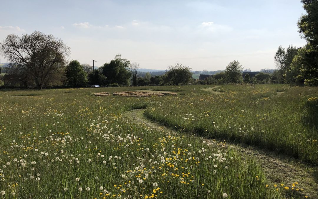 Le Jardin d’Essence propose une parcelle pour maraichage bio à Dréhance