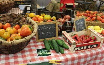 Six bonnes adresses pour se procurer des fruits et légumes bio locaux