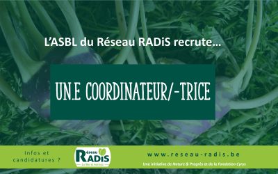 Offre d’emploi : Coordinateur/-trice pour l’ASBL Réseau RADiS